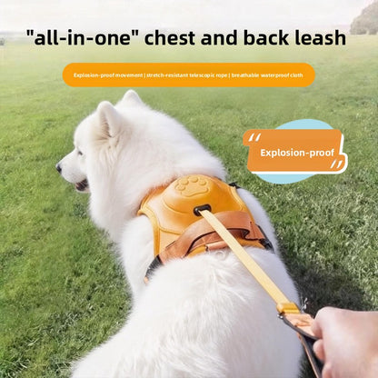 Dog Leash Harness